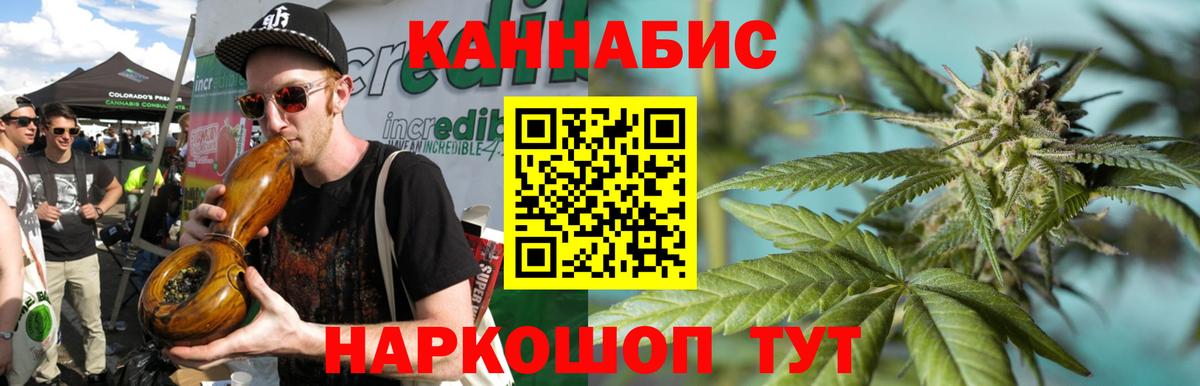 Бошки Шишки планчик  Вход с VPN  Марихуана Ganja  Бошки Шишки Bruce Banner  Каннабис план  Ликино-Дулёво 